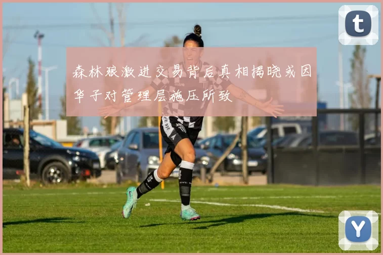森林狼激进交易背后真相揭晓或因华子对管理层施压所致